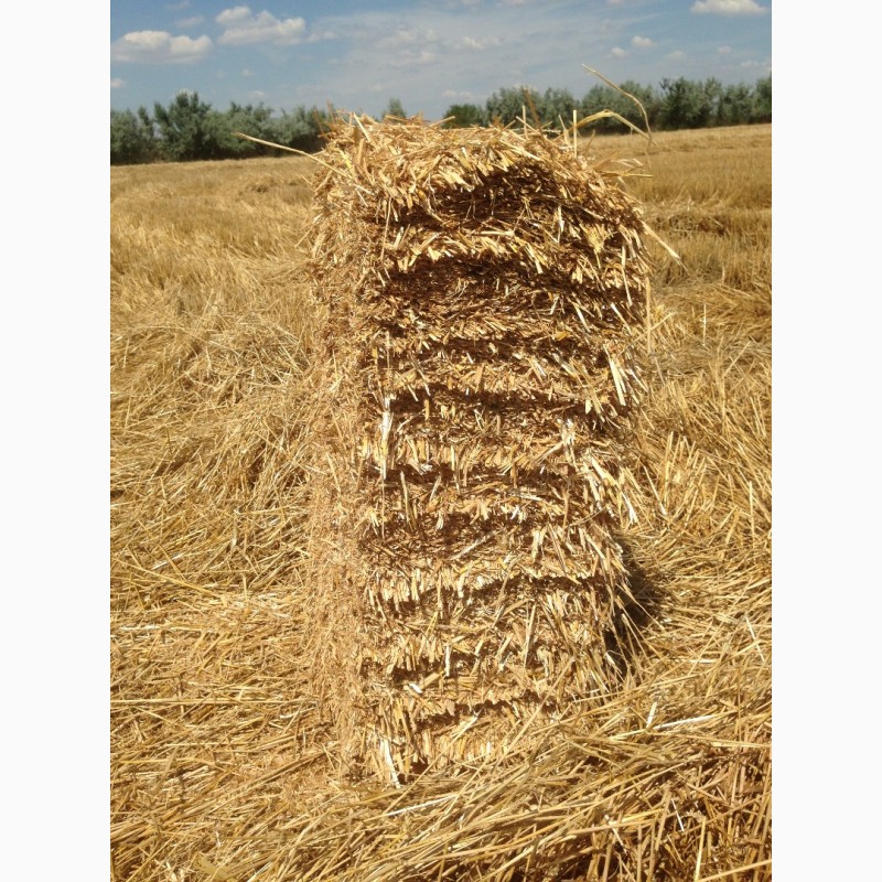 Фото 4. Продам Солому в ТЮКАХ крупно-стебельную озимой пшеницы