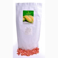 Семена сладкой кукурузы Фиона (Солодка Мрия) F1 Sh2 Мнагор, 20000, кукурудза