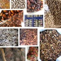Продам горіхи усіх видів та сухофрукти усіх видів