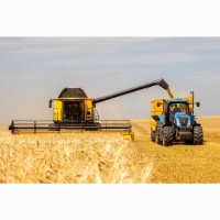 Послуги оренди комбайнів New Holland - CХ 8.80 та New Holland - CR 9.80 для збору врожаю