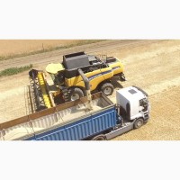 Послуги оренди комбайнів New Holland - CХ 8.80 та New Holland - CR 9.80 для збору врожаю