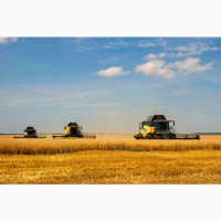 Послуги оренди комбайнів New Holland - CХ 8.80 та New Holland - CR 9.80 для збору врожаю