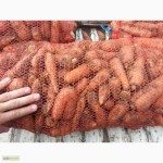 Морковь оптом на переработку, 2-ой сорт