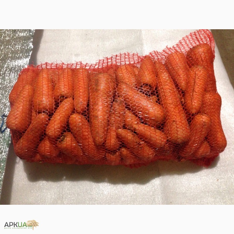 Фото 2. Морковь крупный ОПТ