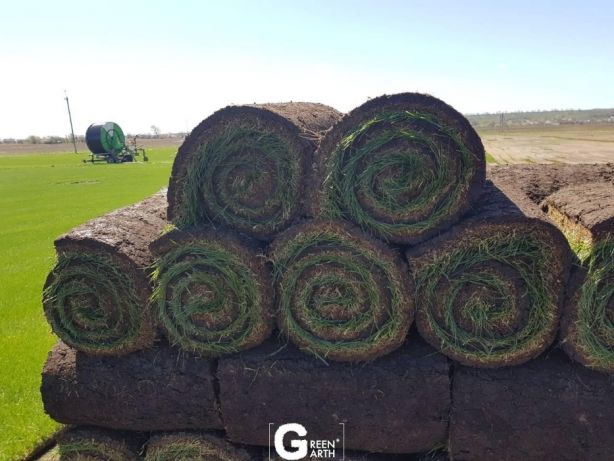 Фото 4. Рулонный газон, укладка с гарантией Green Garth (Грин Гарт)