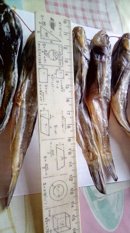 Фото 2. Бычок азовский вяленый/сухой, рыба, рыбпродукты