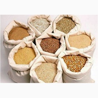 Продам крупи від виробника: пшенична; ячмінна; перлова; кукурудзяна; кутя
