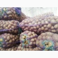 Продам картоплю від виробника