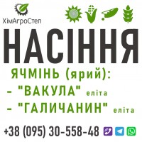 Елітне насіння ярого ячменю від ТОВ ХімАгроСтеп - Сорт Вакула / Сорт Галичанин (рік 2023)