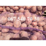 Продам картофель продовольственный Санте, Ривьера
