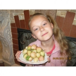 Саджанці Білої полуниці (клубніки) “Анабланка”