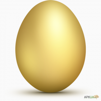 Яйце інкубаційе курине Адлер сріблястий