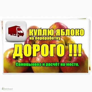 Закупаем яблоко на соки и пюре по всей Украине