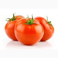 Куплю помидор оптом от производителей