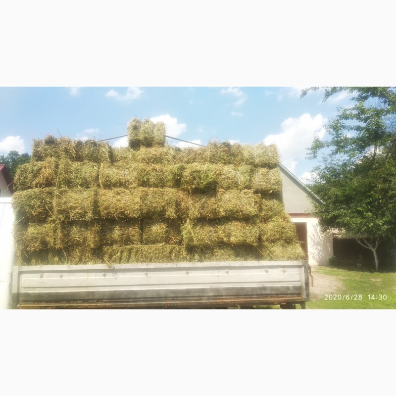 Фото 2. Продам сено, солому урожая 2020