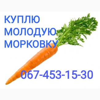 Куплю моркву самовивіз