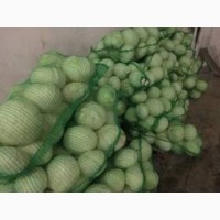 Продам капусту від 10 тон