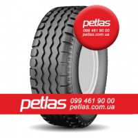 Агро сільгосп шини 480/70 R30 PETLAS TA 110 (С/Х) 141/138