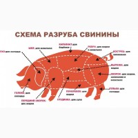 Предприятие УКРАГРОПОСТАВКА покупает свинную разделку, заморозку