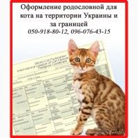 Оформлення родоводу для кота на території України та за кордоном, Харків