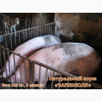 Рослинний Еко-корм «Чарівнюля» для свиней, ВРХ та курей