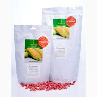 Семена сахарной кукурузы ультраранней Роттердам F1, сахаров 20%, обработаны Radix Perfecta