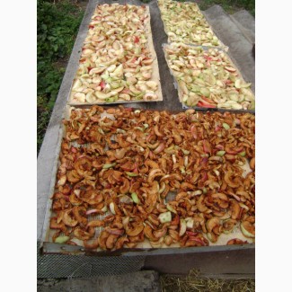 Купим сушку яблочную грушевую и др от населения урожая 2019