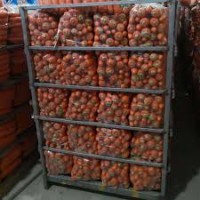 Продам моркву оптом гарного товарного вигляду, опт від 10 тон