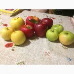 Домашние яблоки разных сортов из села