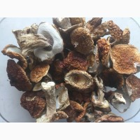 Придам білі гриби: мариновані, сушені