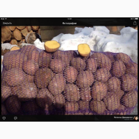 Продам картофель от производителя