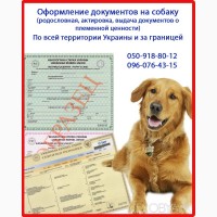 штраф за охоту с собакой без документов в украине