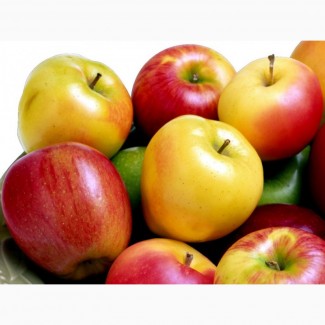 Завод закупает яблоки по хорошей цене