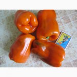 Семена томатов, перцев, баклажан. Момордика, тыква