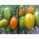 Семена томатов, перцев, баклажан. Момордика, тыква
