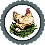 Солотвинская птицефабрика продает яйца куриные от производителя