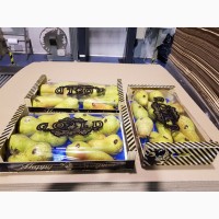 Продаем груши из Испании