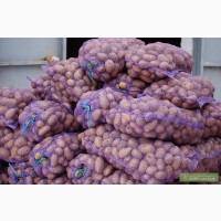 Продаю Картоплю Оптом!!! Урожай-2017