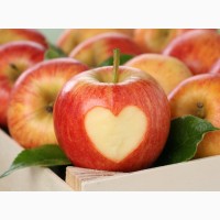 Завод закупает яблоки по выгодной цене
