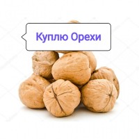 Закупаем Грецкий орех неочищенный / Куплю Грецький горіх