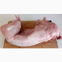 Мясо домашнего молодого кролика, Реальная цена ! 150 грн/штука