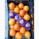 Апельсины свежие в наличие Турция Вашингтон Купить апельсины