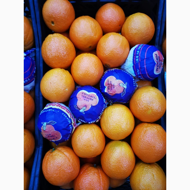 Фото 2. Апельсины свежие в наличие Турция Вашингтон Купить апельсины