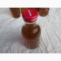 Сок мухомора ферментированного