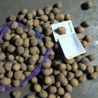 Продам картофель от производителя собственного производства
