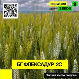 Насіння пшениці БГ Флексадур 2С / BG Flexadur 2S (Durum Seeds)