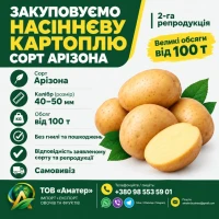 Дорого Арізона насіннєва від 20т