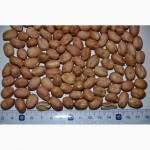 Орехи и сухофрукты из Аргентины