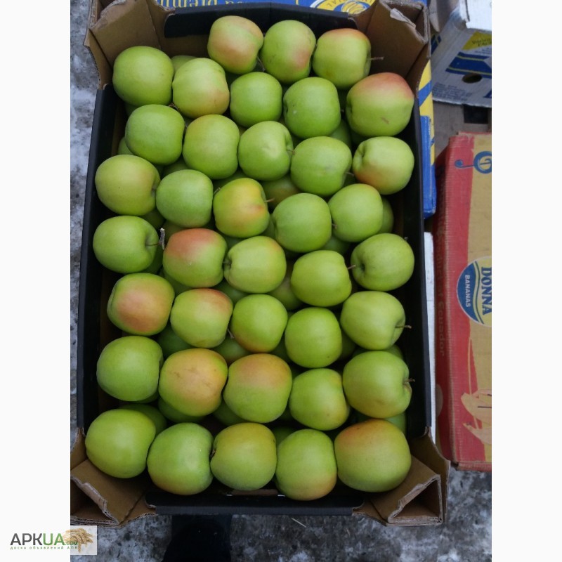 Фото 4. Продам яблука з холодильника газовані