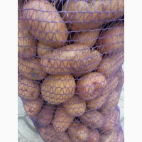 Продам картофель ОПТ